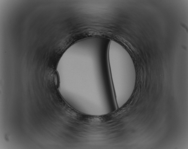 X0000094910513200711291003