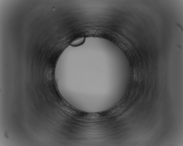 X0000094910514200711291003