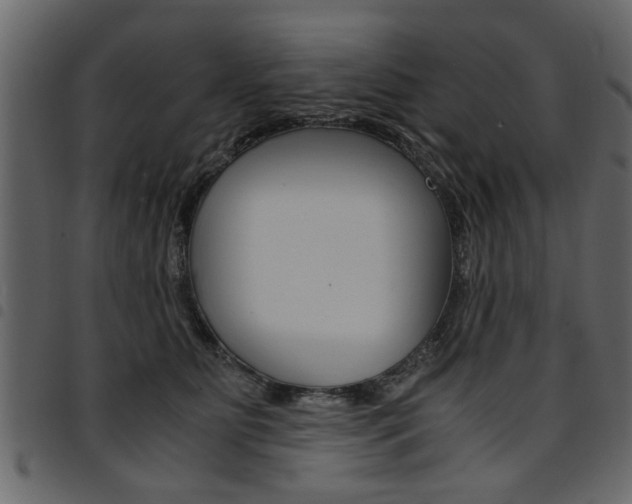 X0000094910515200711291003