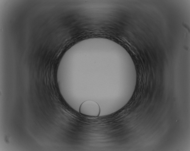 X0000094910516200711291003