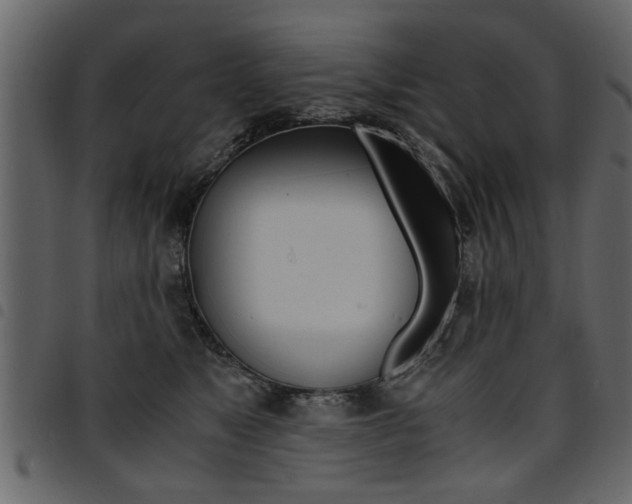 X0000094910517200711291003