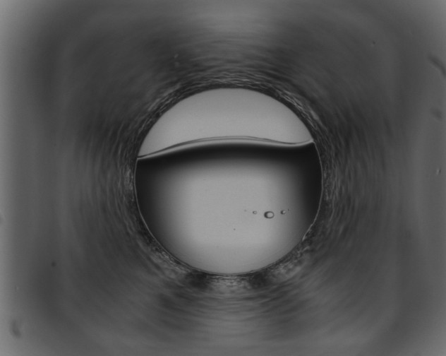 X0000094910521200711291003