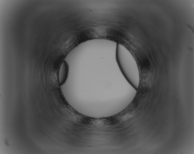 X0000094910523200711291003