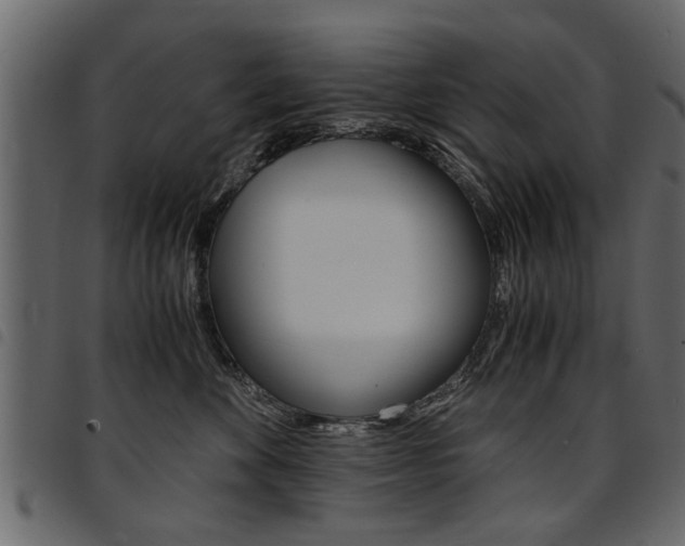 X0000094910524200711291003