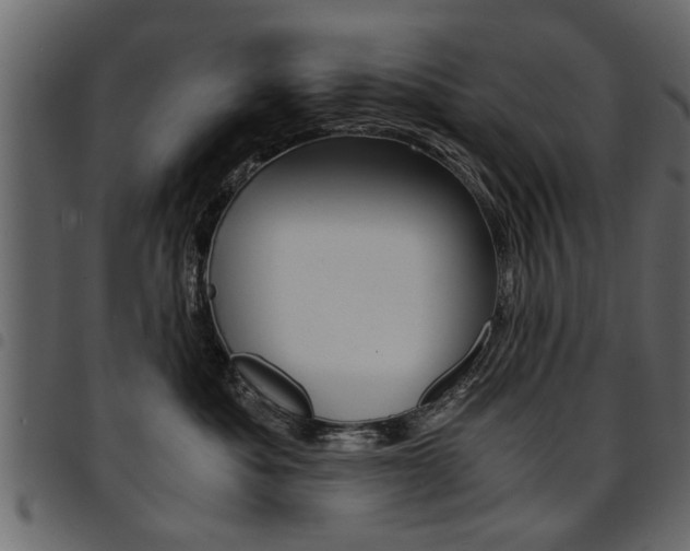 X0000094910525200711291003