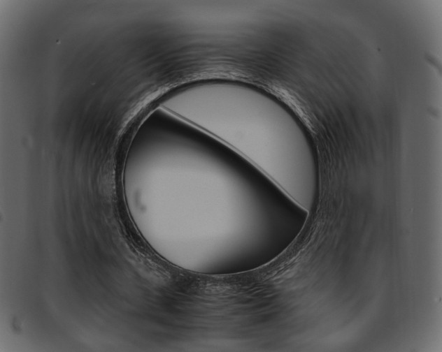 X0000094910531200711291002