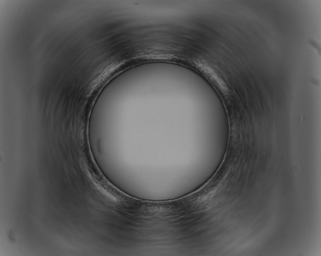 X0000094910533200711291002