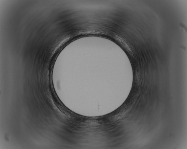 X0000094910534200711291002
