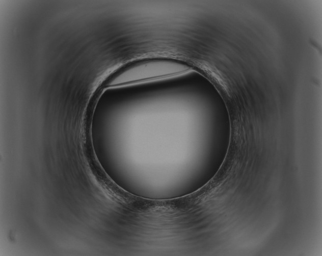 X0000094910536200711291002