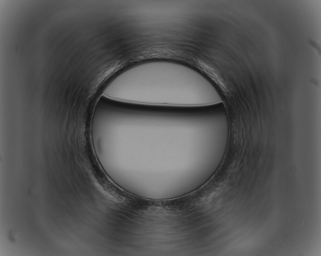 X0000094910538200711291002