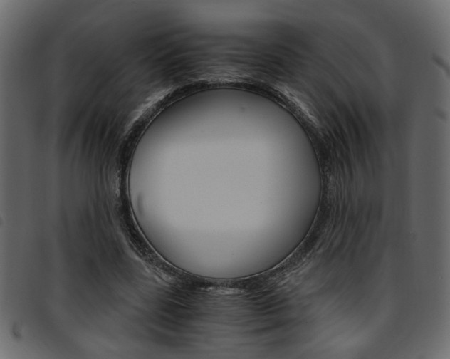 X0000094910539200711291002