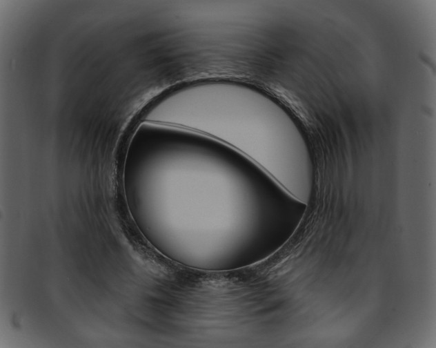 X0000094910540200711291002
