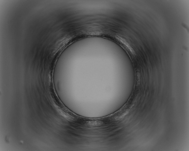 X0000094910541200711291002