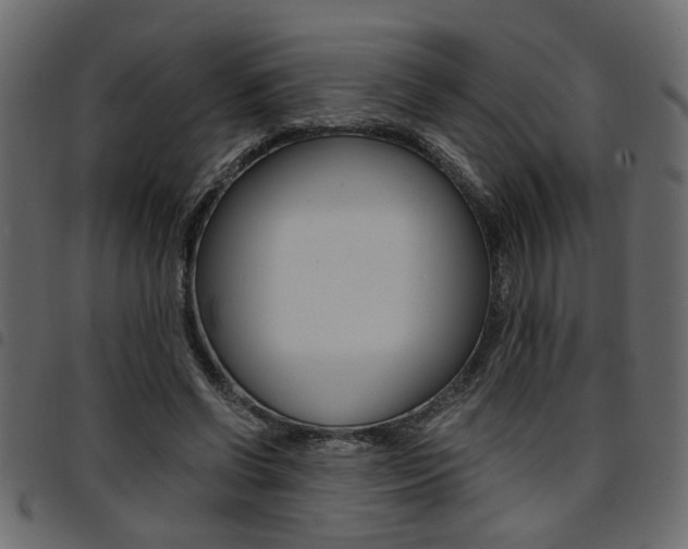 X0000094910542200711291002