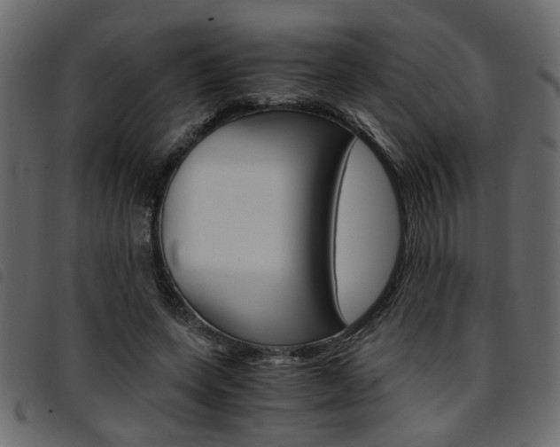 X0000094910543200711291002