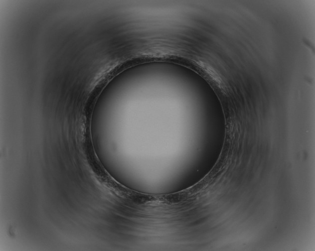 X0000094910544200711291002