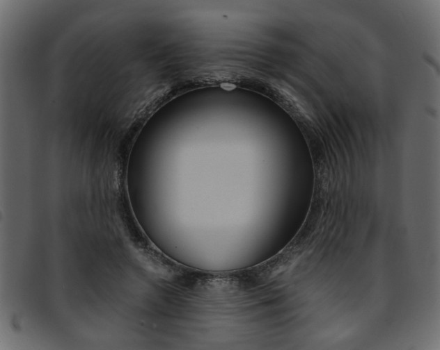 X0000094910546200711291002