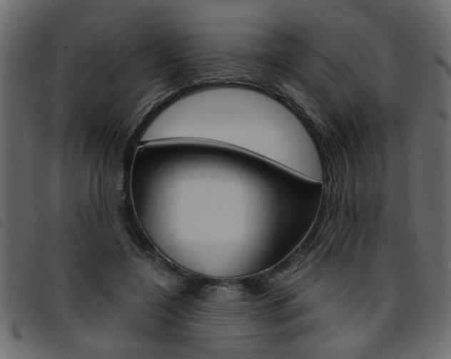 X0000094910548200711291002