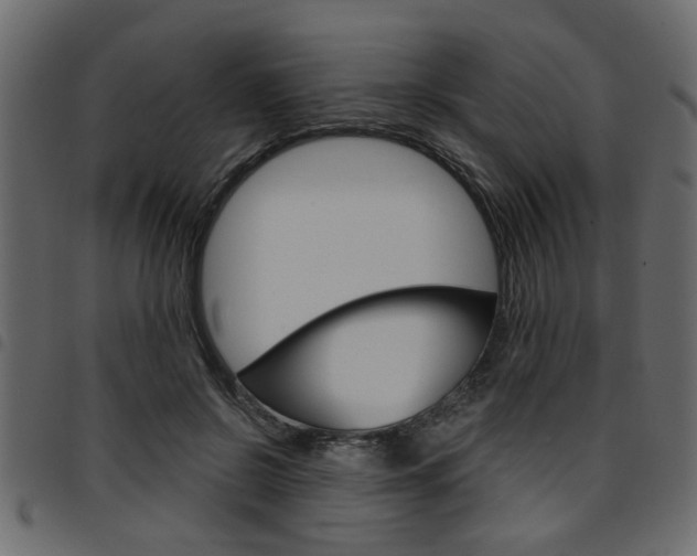 X0000094910550200711291002