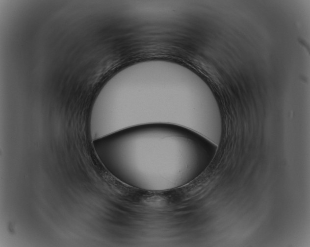 X0000094910551200711291002