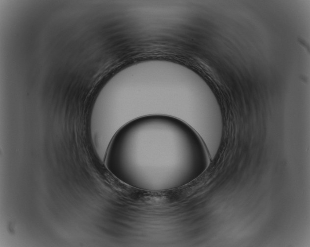 X0000094910552200711291002