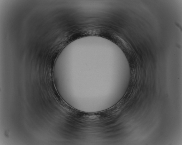 X0000094910553200711291002