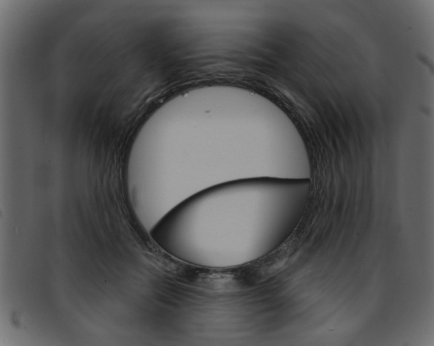 X0000094910554200711291002