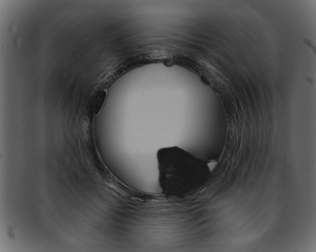X0000094910556200711291002