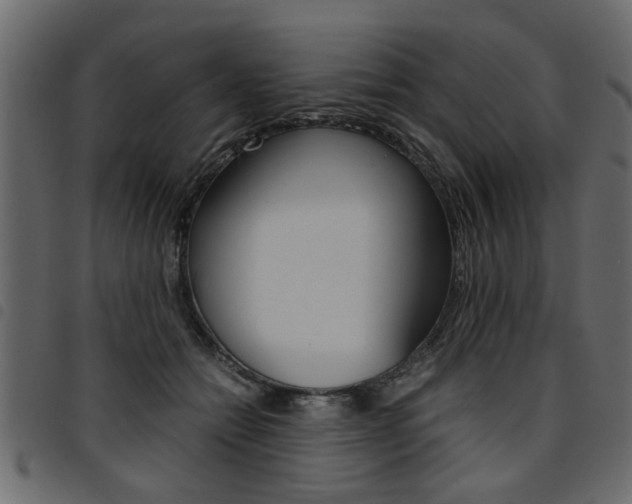 X0000094910558200711291002