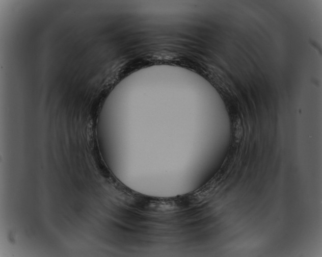 X0000094910559200711291002