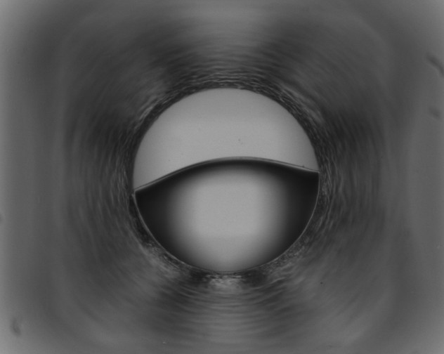 X0000094910560200711291002