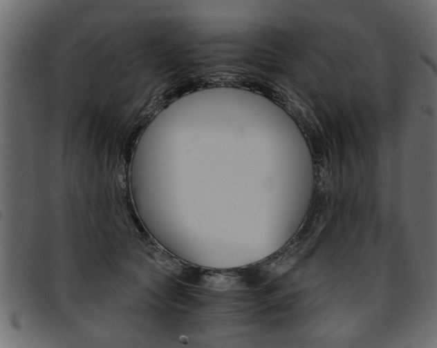 X0000094910561200711291002