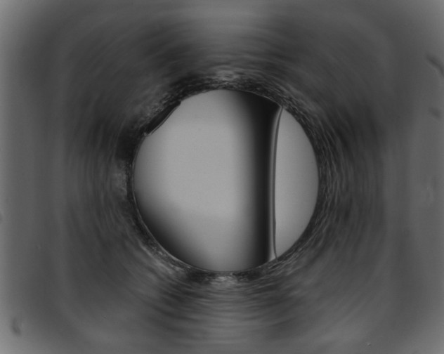 X0000094910562200711291002