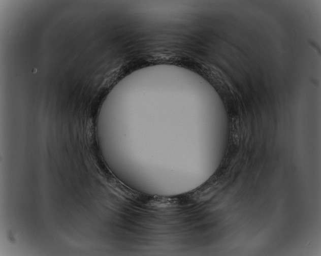 X0000094910563200711291002