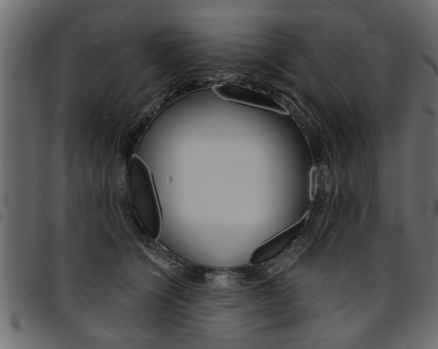 X0000094910564200711291002