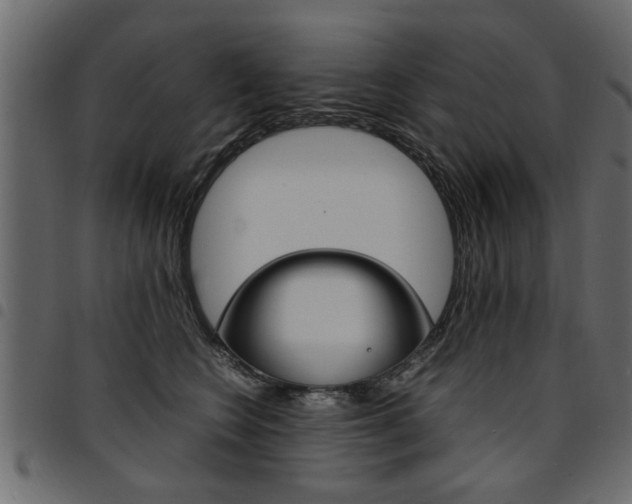 X0000094910566200711291002