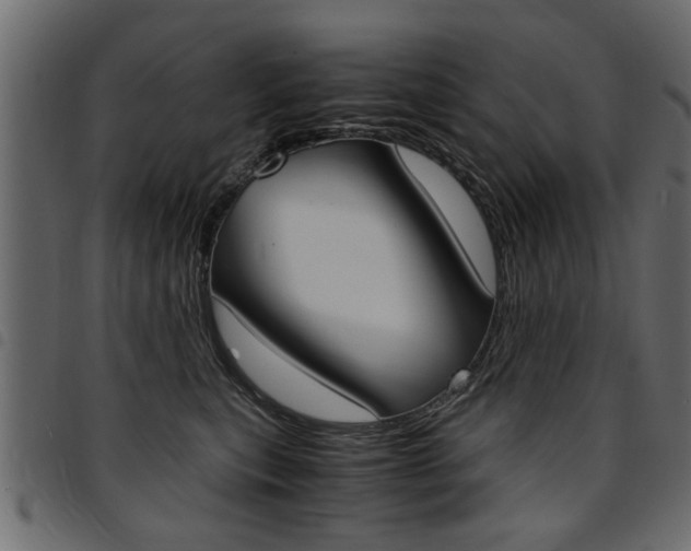 X0000094910567200711291002