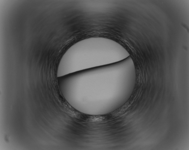 X0000094910569200711291002