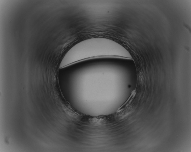 X0000094910570200711291002