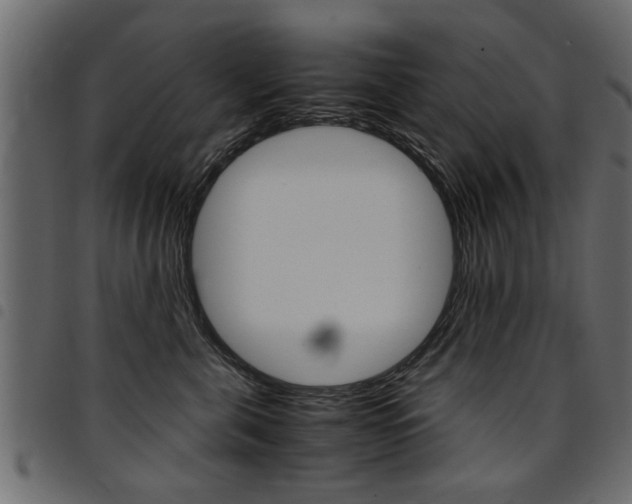 X0000094910571200711291002