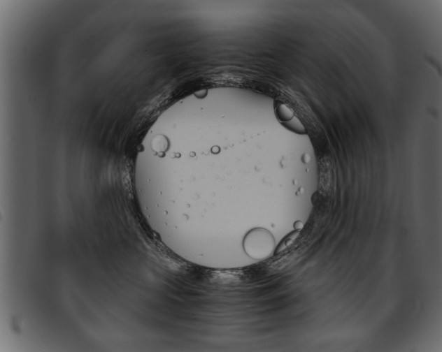 X0000094910573200711291002