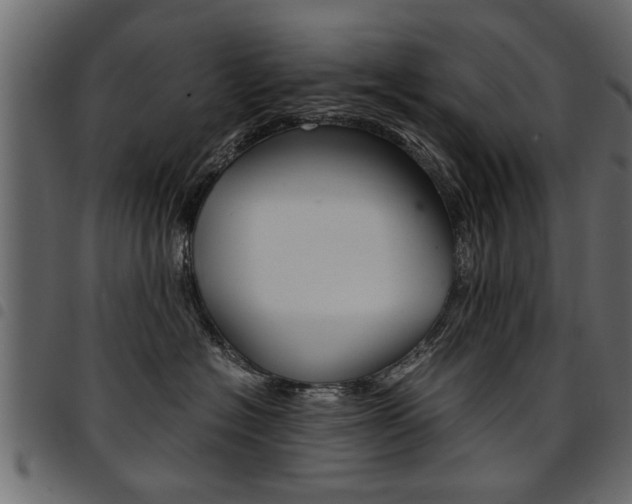X0000094910574200711291002
