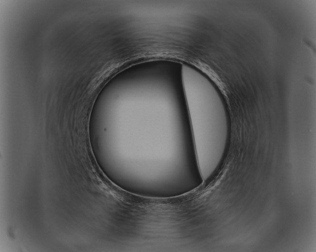 X0000094910577200711291002