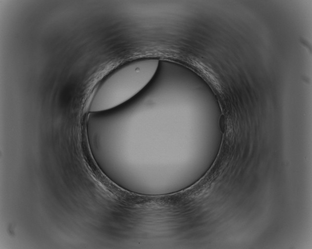 X0000094910578200711291002