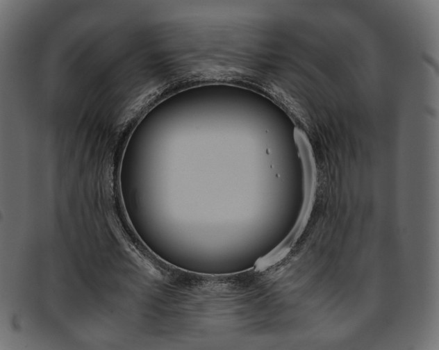 X0000094910581200711291002