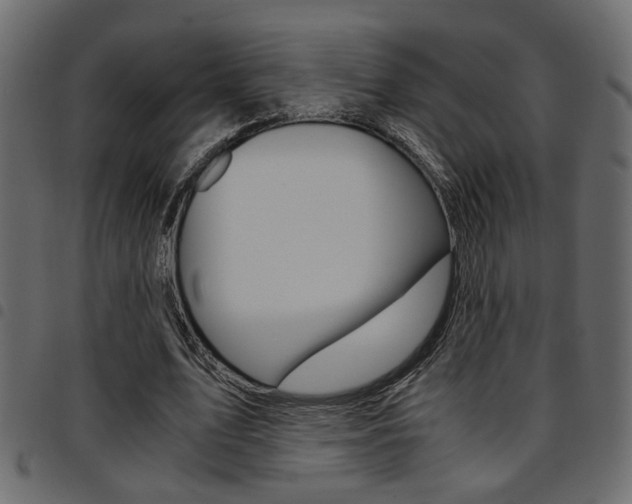X0000094910583200711291002