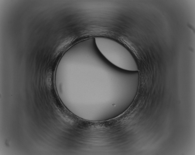 X0000094910586200711291002