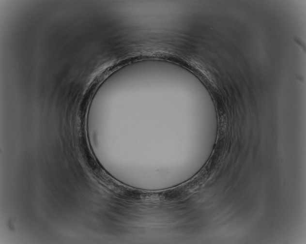 X0000094910587200711291002