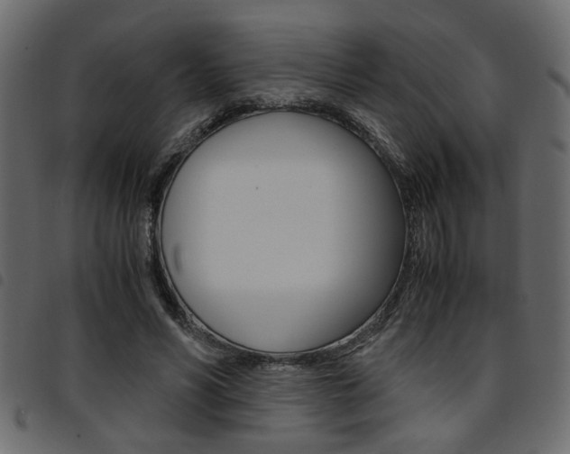 X0000094910590200711291002