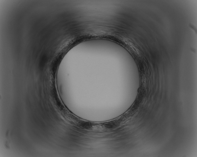 X0000094910591200711291002